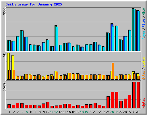 Daily usage for January 2025