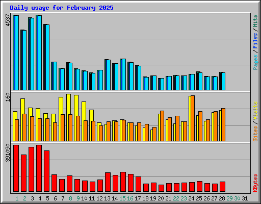 Daily usage for February 2025