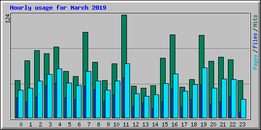 Hourly usage for March 2019