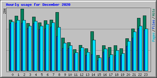 Hourly usage for December 2020