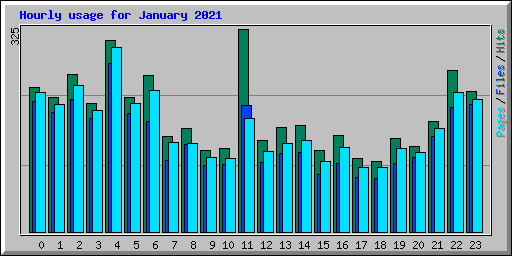 Hourly usage for January 2021