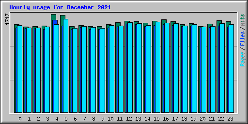 Hourly usage for December 2021