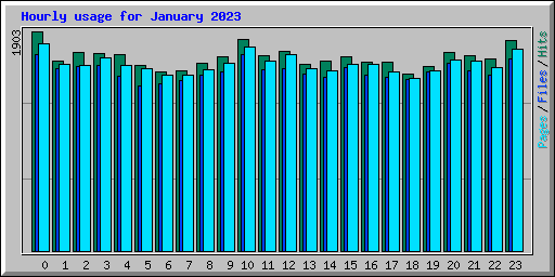 Hourly usage for January 2023