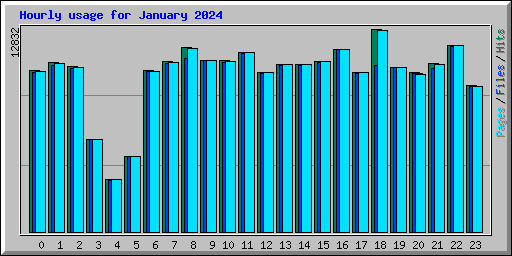 Hourly usage for January 2024