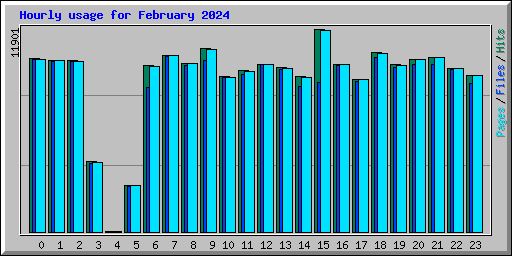 Hourly usage for February 2024