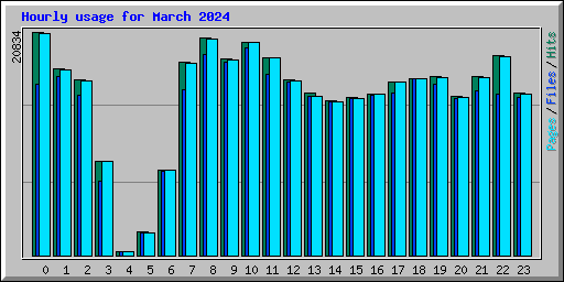 Hourly usage for March 2024