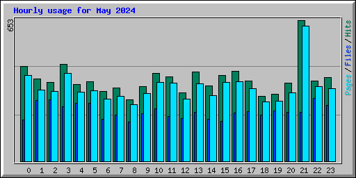 Hourly usage for May 2024