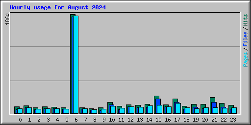 Hourly usage for August 2024