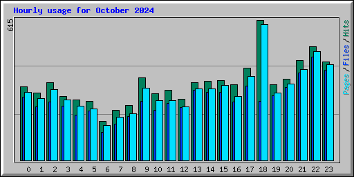 Hourly usage for October 2024