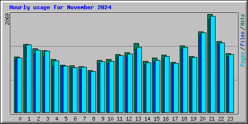 Hourly usage for November 2024