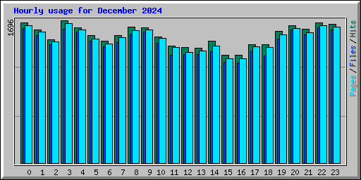 Hourly usage for December 2024
