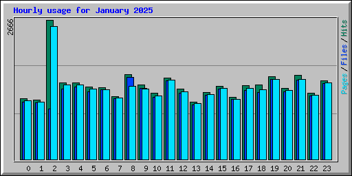 Hourly usage for January 2025