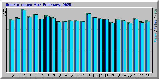 Hourly usage for February 2025