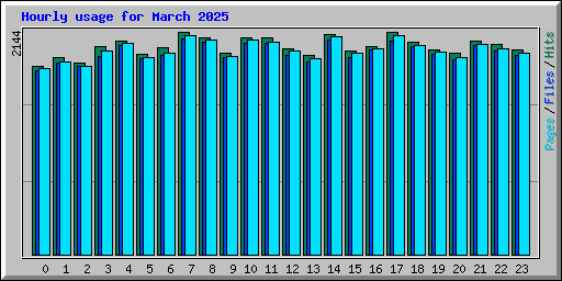 Hourly usage for March 2025