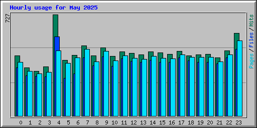 Hourly usage for May 2025