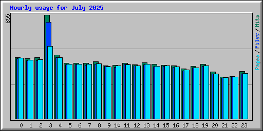 Hourly usage for July 2025